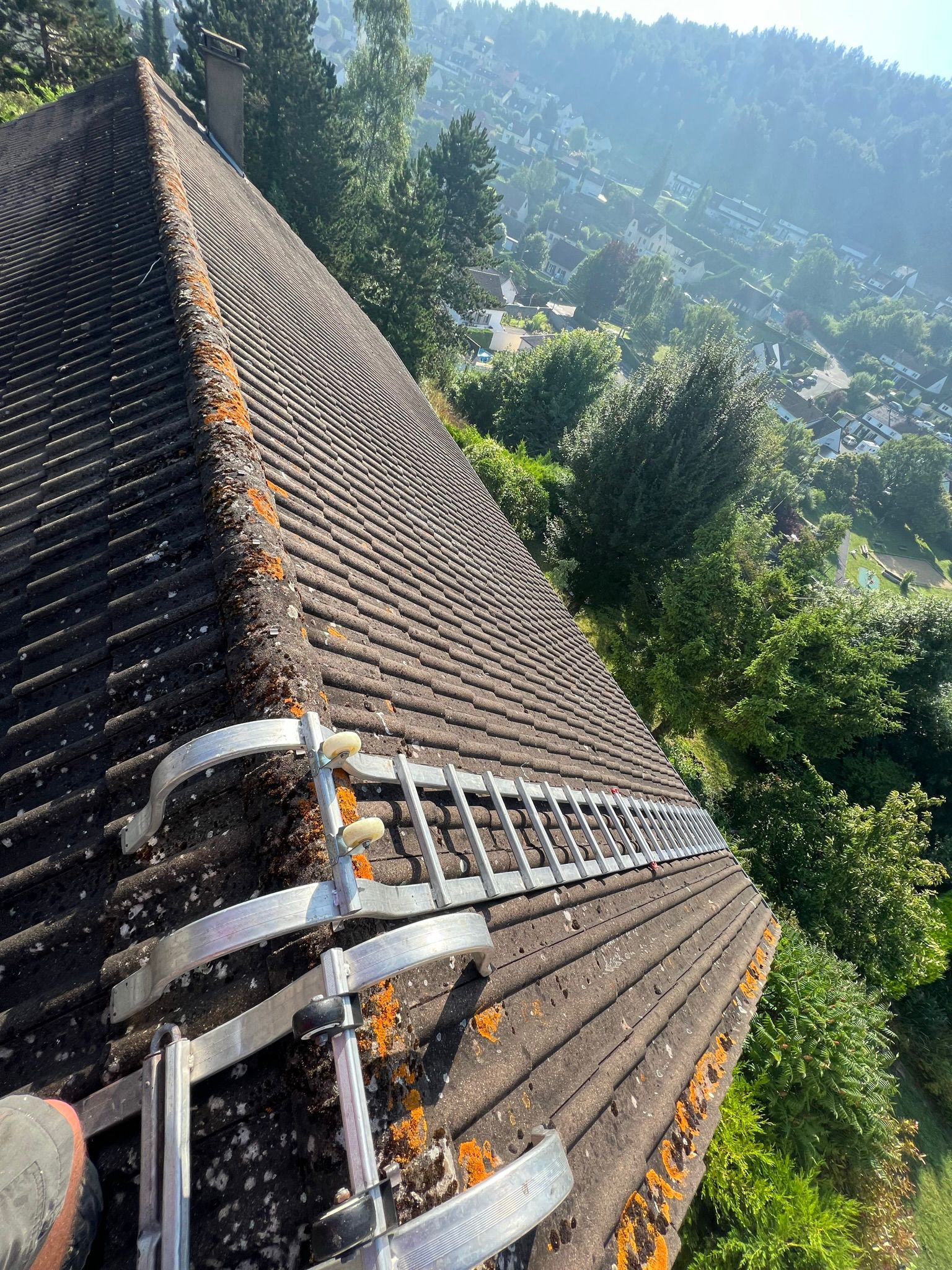 Démoussage de toiture